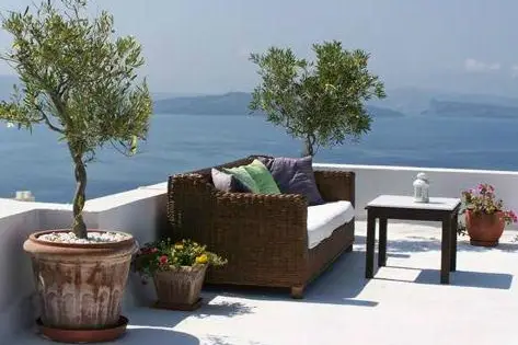 Monceau Fleurs La Seyne sur Mer — photo 2