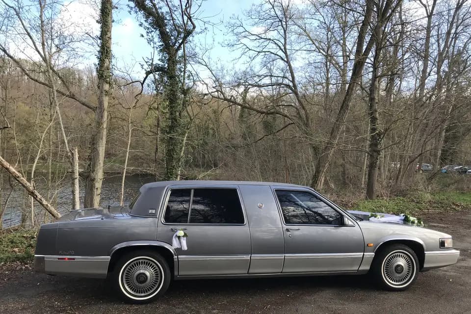 Luxe Car Évents — photo 6