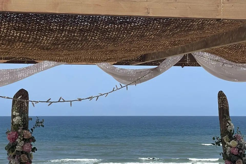 Le Café de la Plage — photo 2