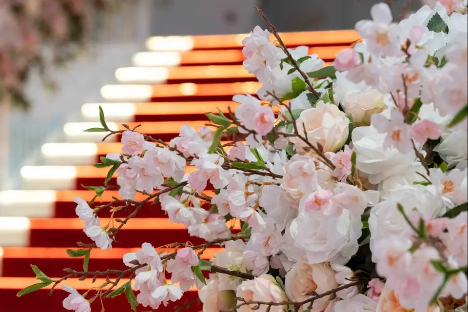 Gala Réception — photo 7