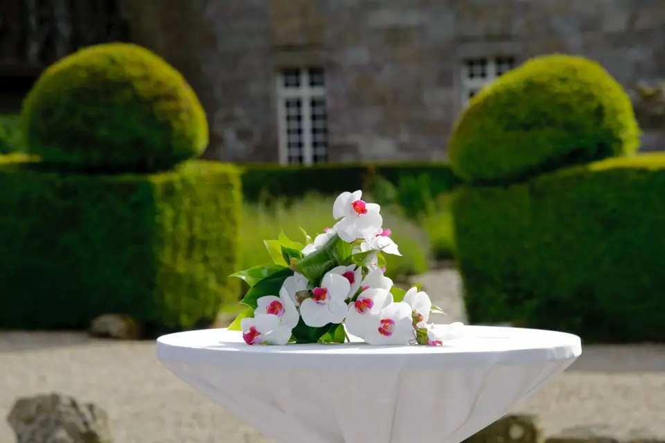 Symphorine — photo 1