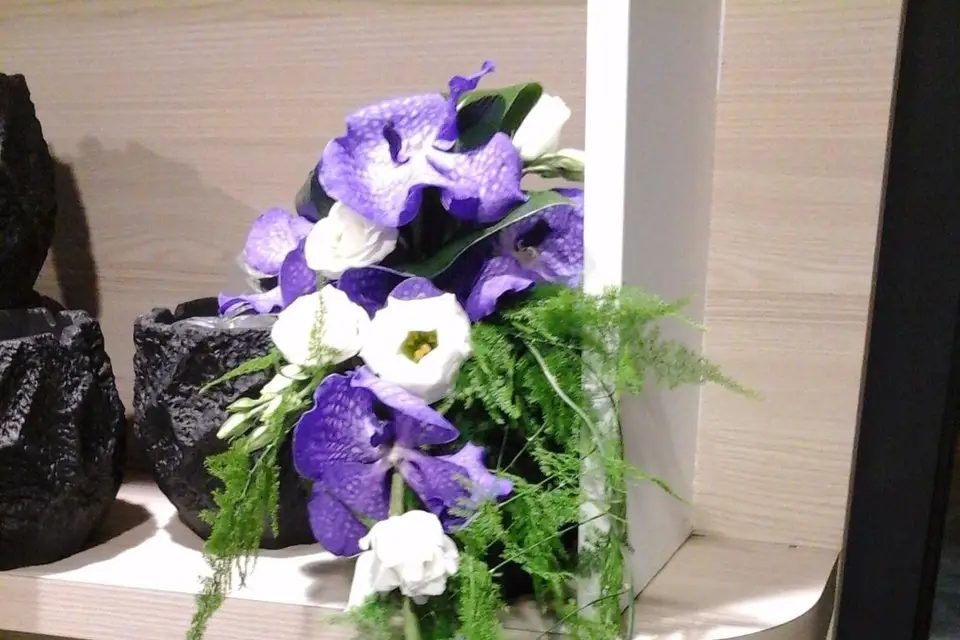 Symphorine — photo 5