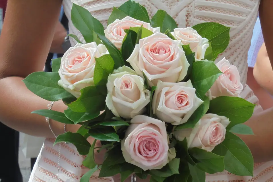 Symphorine — photo 4