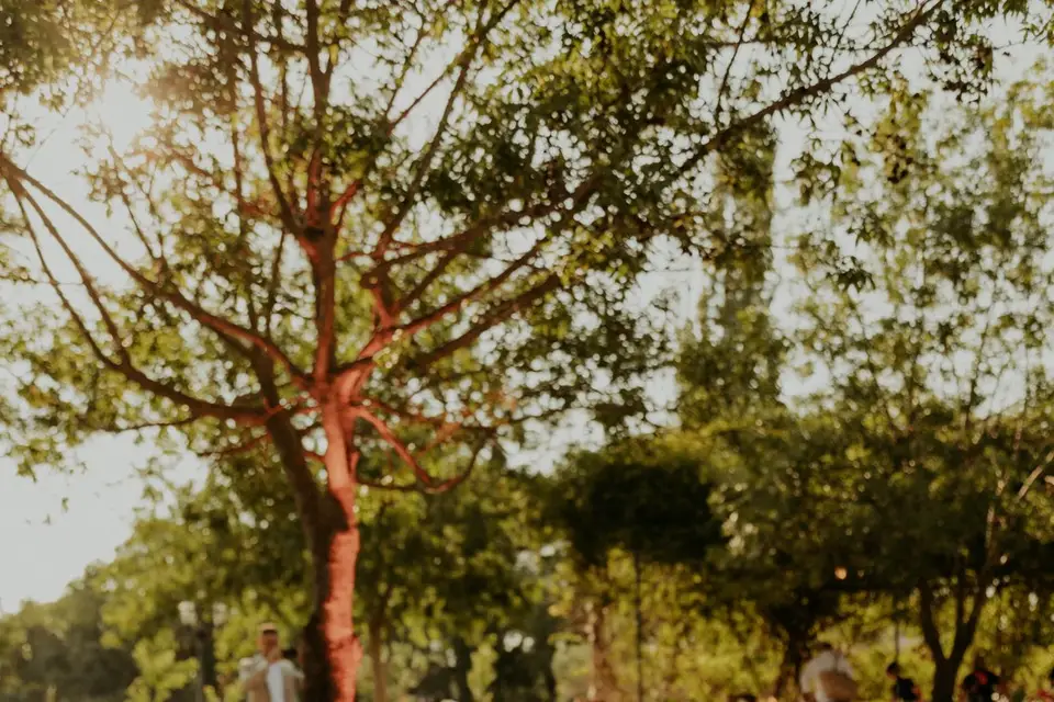 Salle les Berlettes - Domaine de Sulauze — photo 5