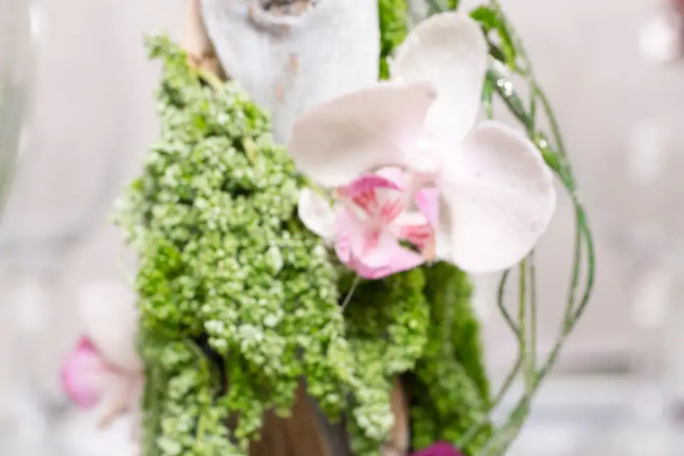 ParPetitsBonds — photo 1