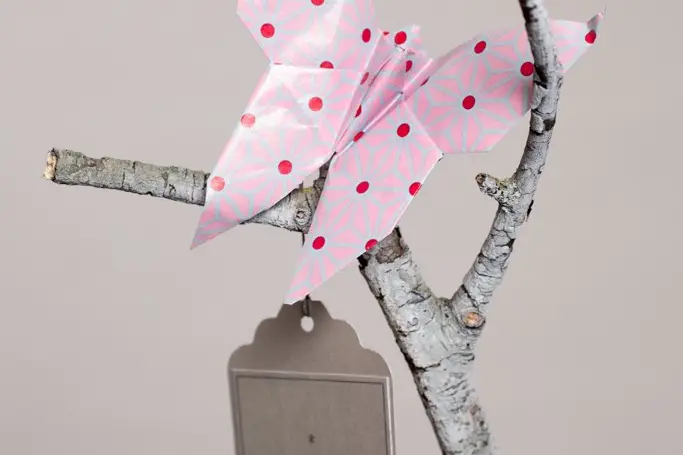 ParPetitsBonds — photo 2