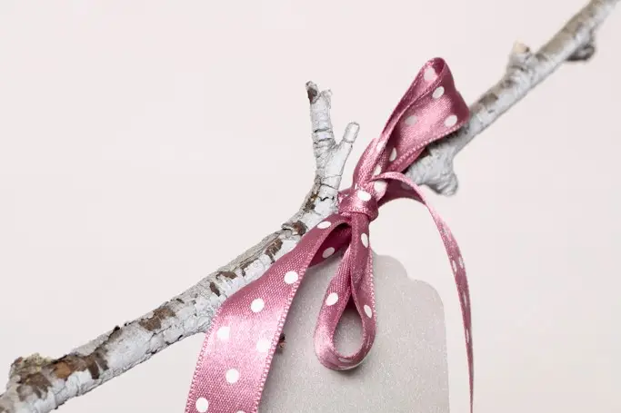 ParPetitsBonds — photo 3