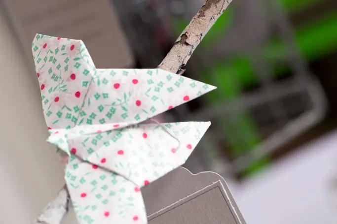 ParPetitsBonds — photo 5