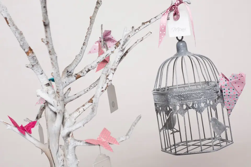 ParPetitsBonds — photo 7