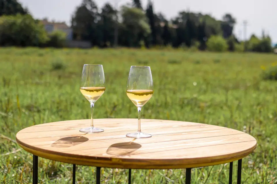 La Mosaïque des Vins — photo 8