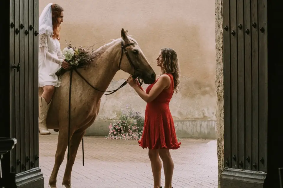 Laura Rossi - LL Ranch — photo 7