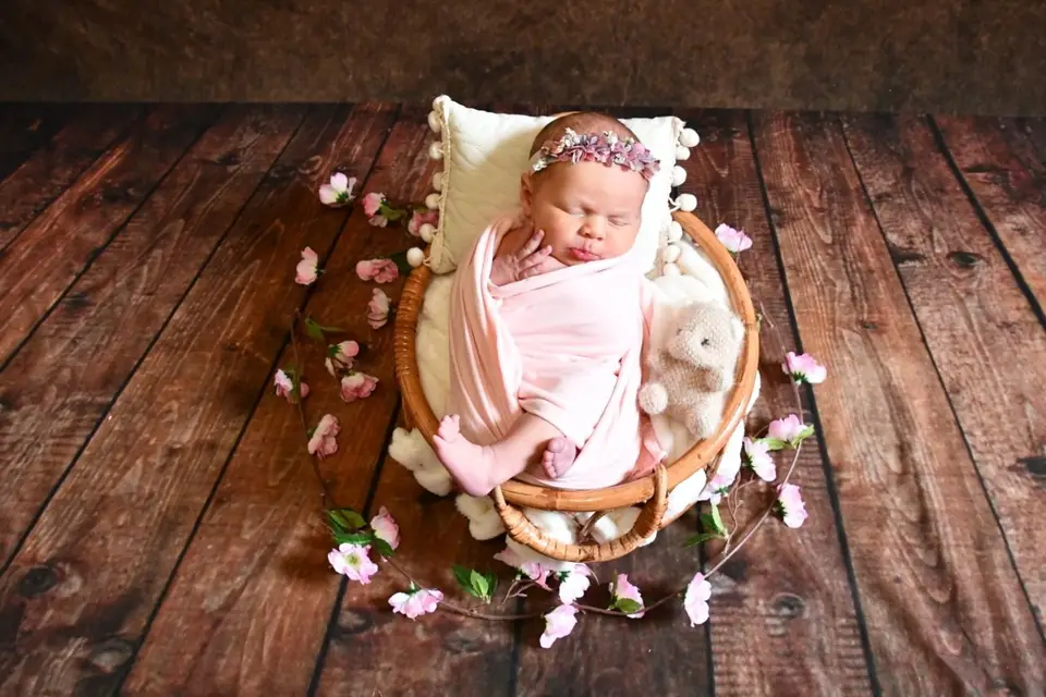 Lily and Daisies — photo 3