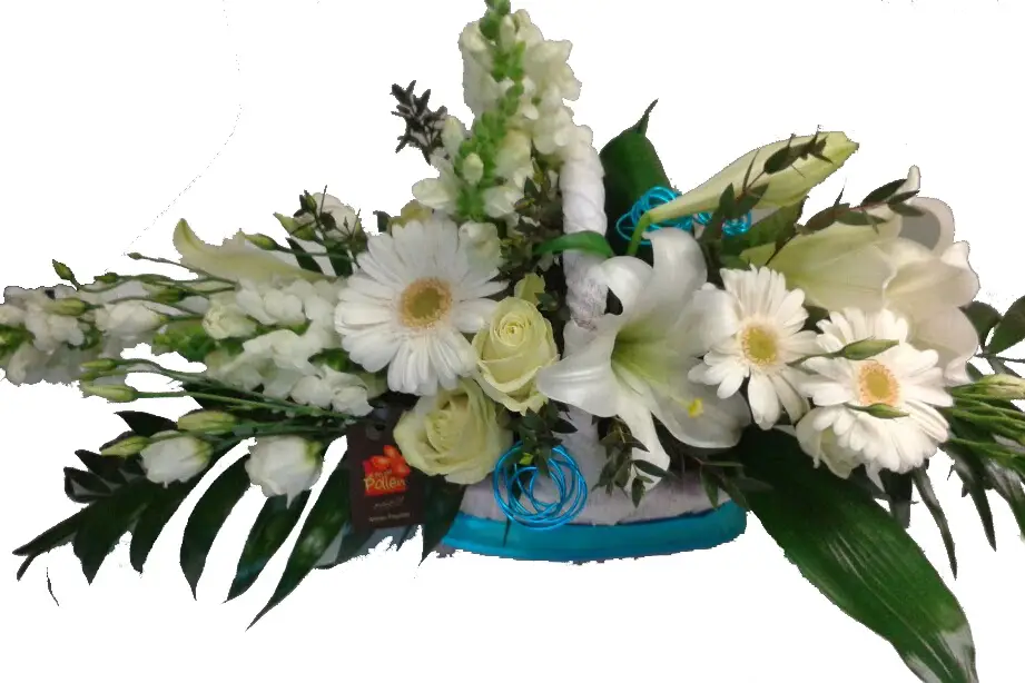 Grain de Pollen — photo 2