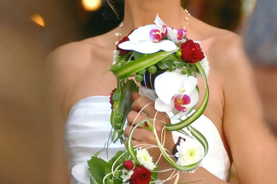 Grain de Pollen — photo 5