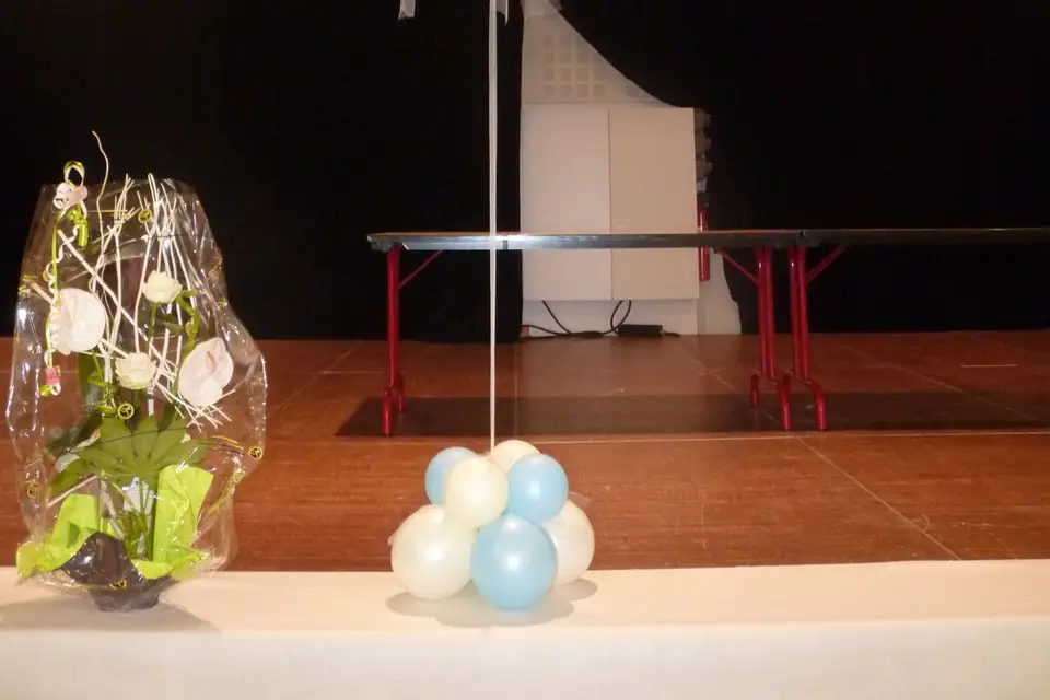 Party Fiesta — photo 4