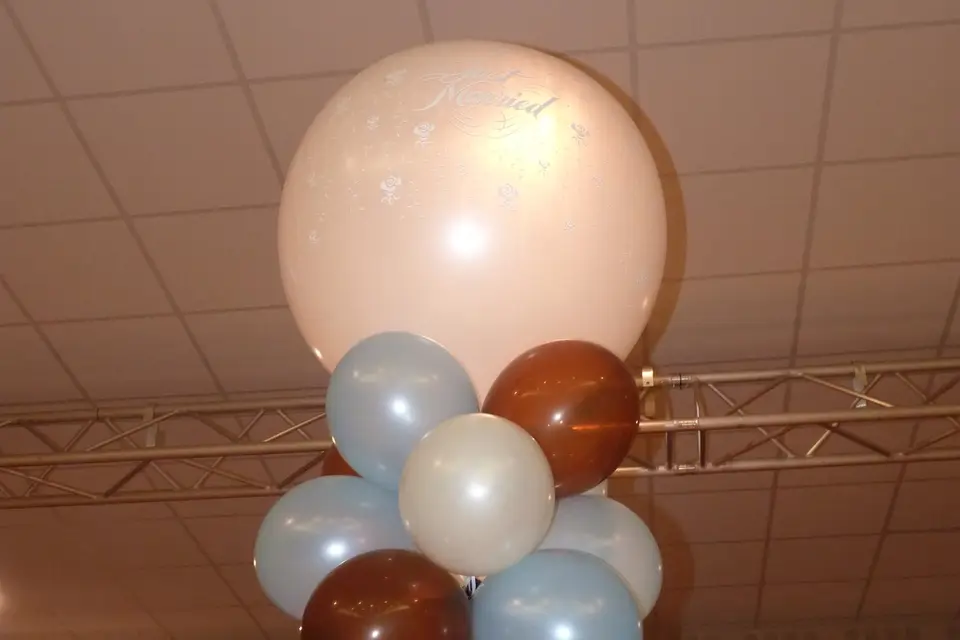 Party Fiesta — photo 5