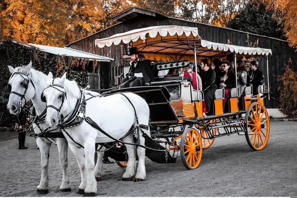 L’Instant Magique by Sabine — photo 2