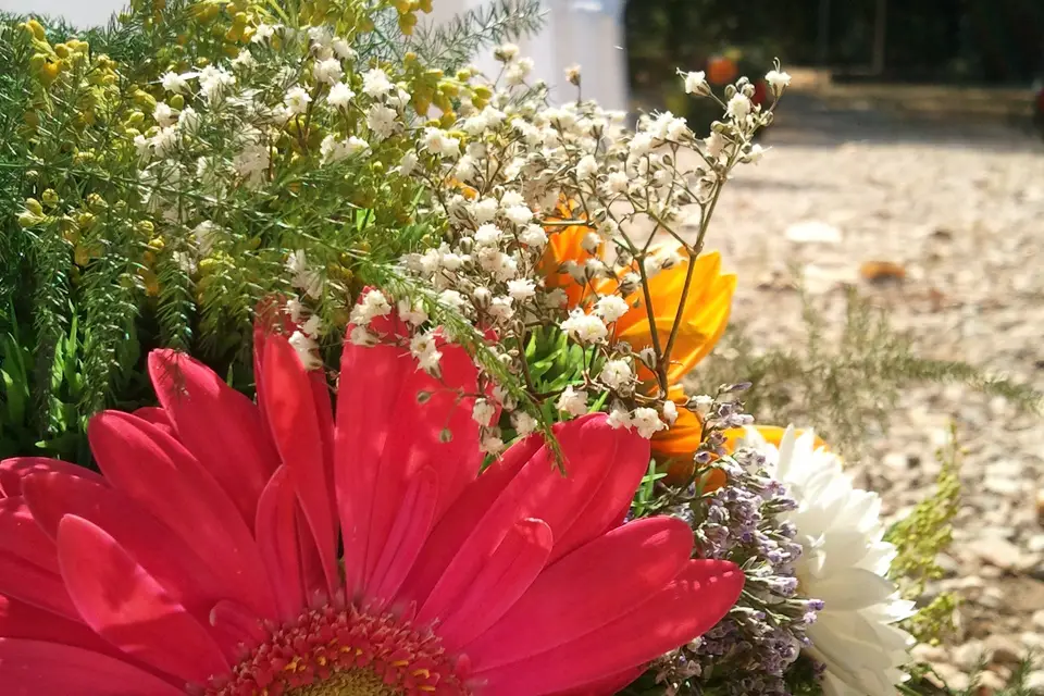 Fred - Cérémonie Laïque 66 — photo 7