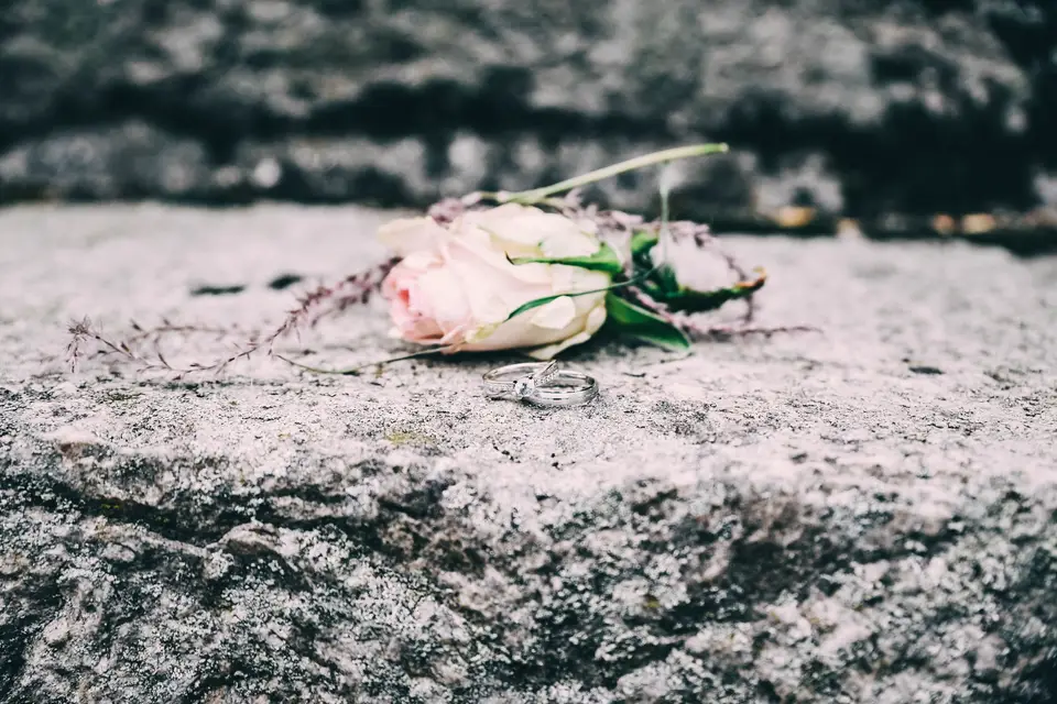 Reflets d'Amour — photo 5