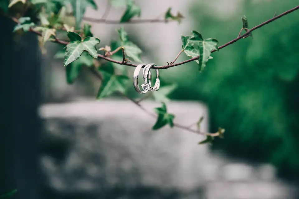 Reflets d'Amour — photo 6