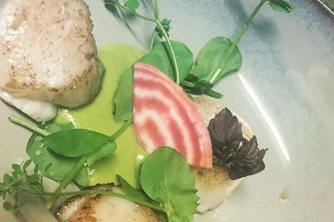 L'Apétille — photo 6