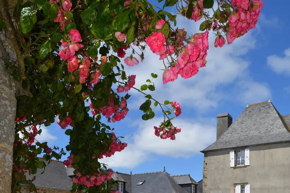 Manoir de Trouzilit — photo 2