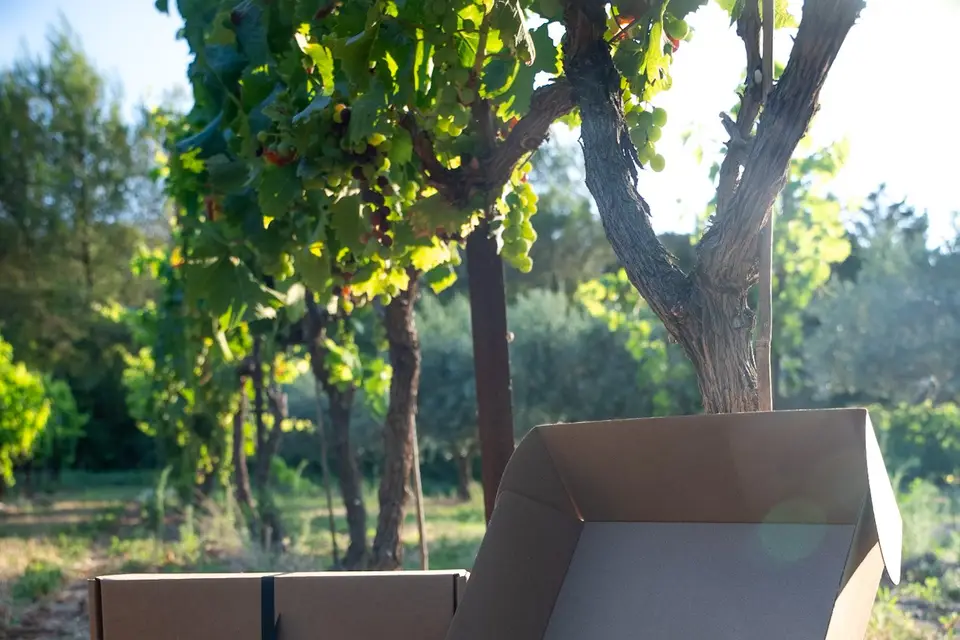 Centilitre — photo 5