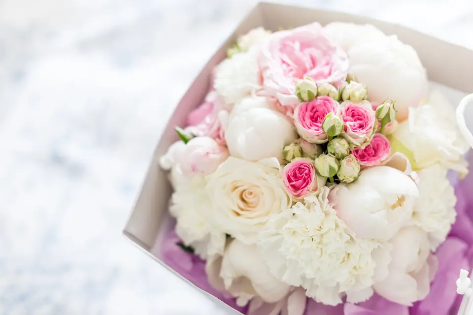 Sarah Gineston Photographie — photo 4