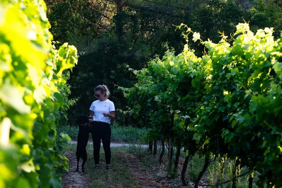 Centilitre — photo 6