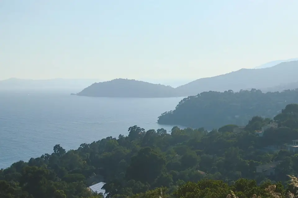 Advance Production — photo 5