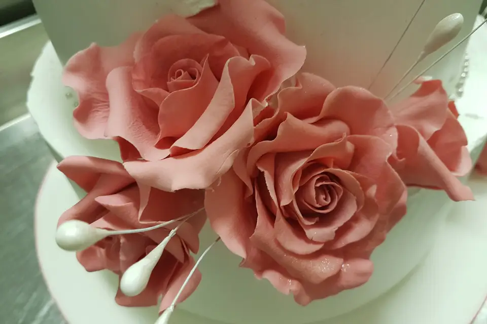 Studio Gâteau — photo 5