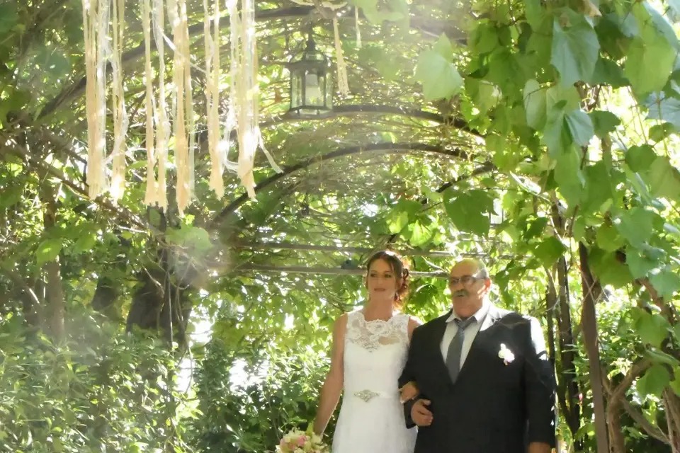 Lou Mas de l'Olivier — photo 8