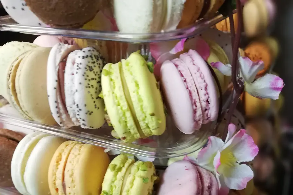 Le Trio de Choc — photo 7