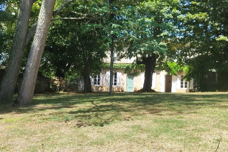 Château Bujan — photo 4