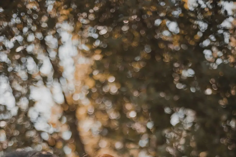 Auréline Bertail Photographe — photo 4