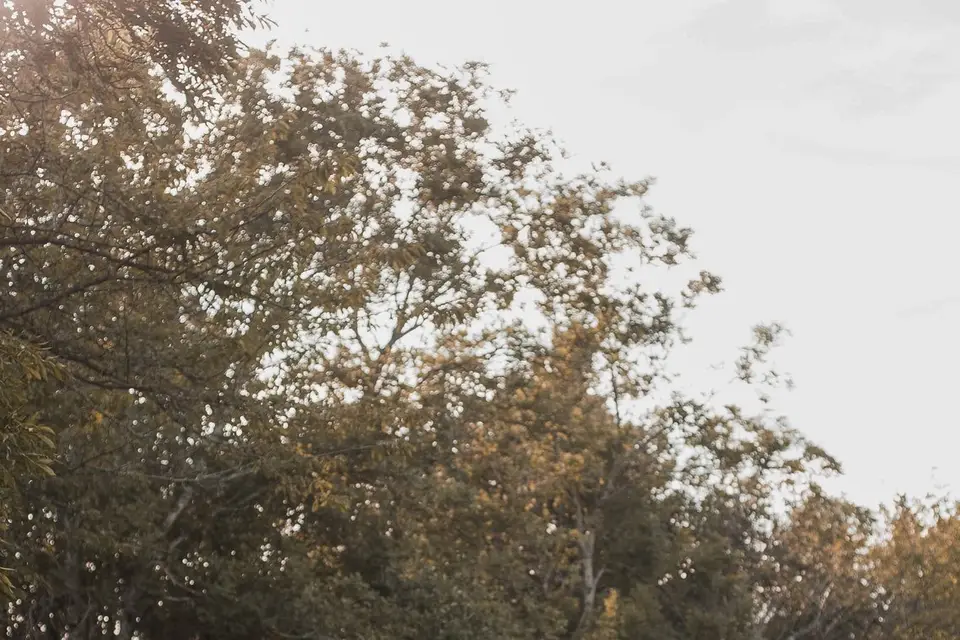 Auréline Bertail Photographe — photo 1