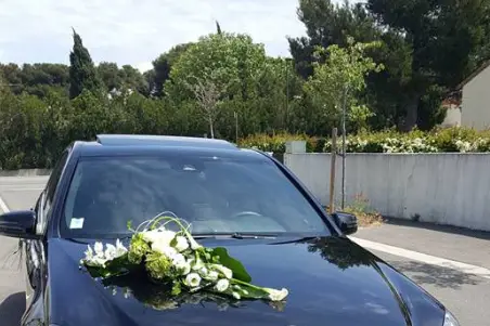 Chauffeur Doré — photo 3