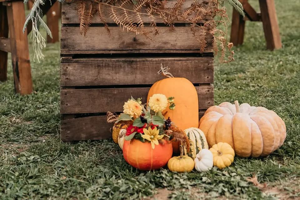Les Singulières - Ferme Florale — photo 8