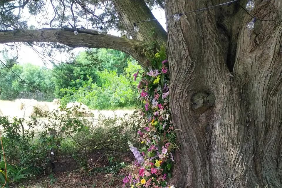 Les Singulières - Ferme Florale — photo 3