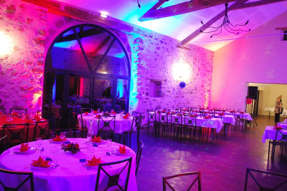 Music Light Animation 79 — photo 1