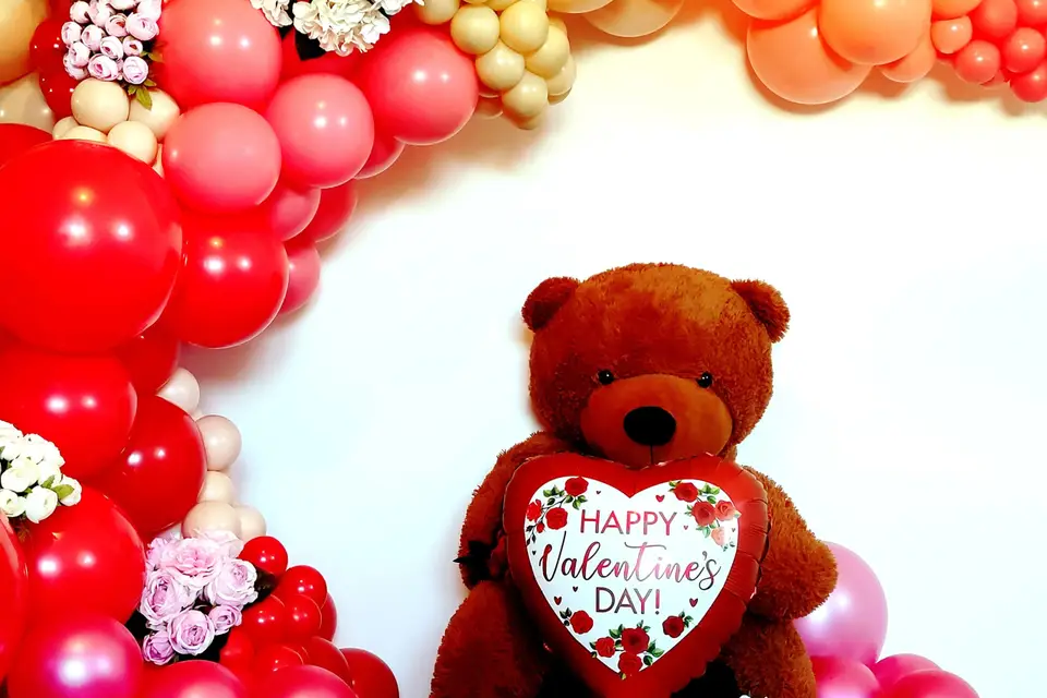 Ballonarium — photo 6