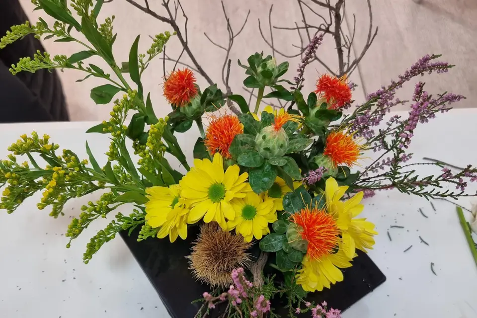 Élégance Éphémère — photo 2