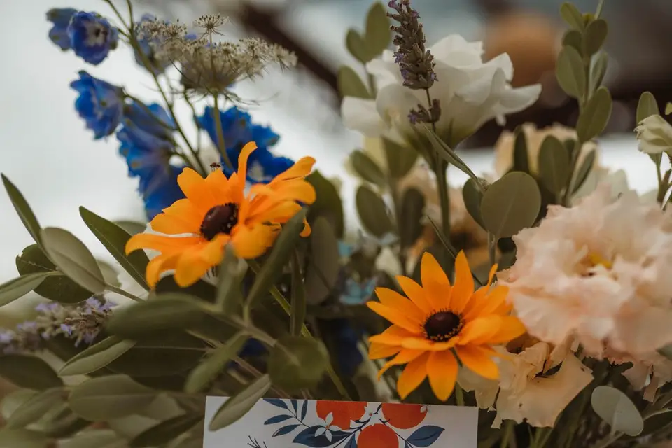 O Bonheur des Dames — photo 5