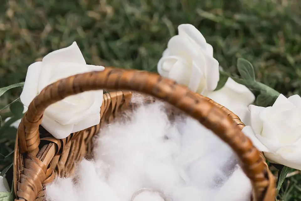 StrangeFilms&Co. — photo 4