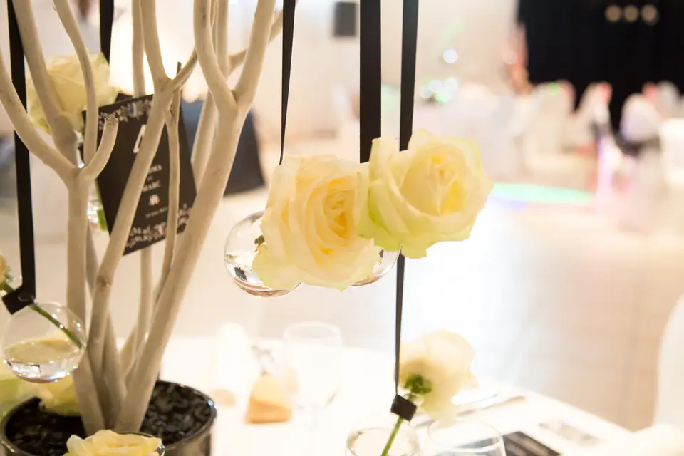 Les Noces de Zara — photo 7