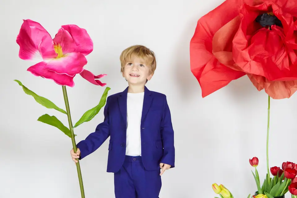 Mimimalices — photo 6