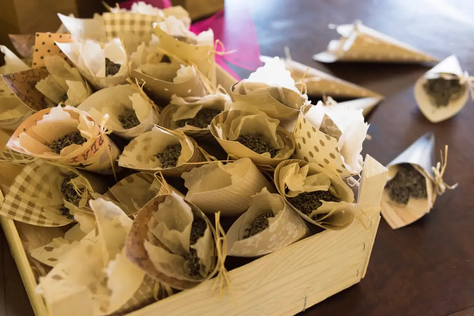 Souvenirs d'Alice — photo 1