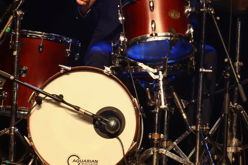 The Crazy Ducks — photo 6