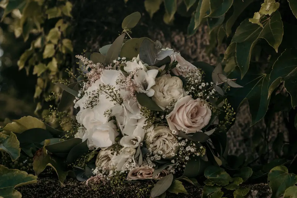 Dimitri Bois — photo 7