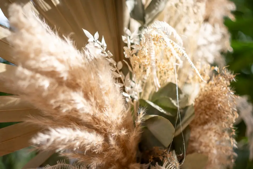 Pensée au naturel — photo 1